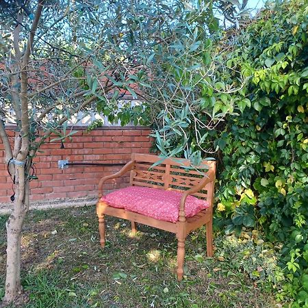 Piscina De Sal Barbacoa Wifi, Parking Gratis, 3 Min Pga Casa El Roble Vila Girona Exterior foto